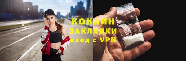 индика Пересвет