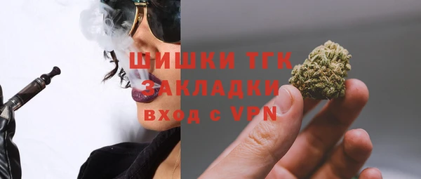 индика Пересвет