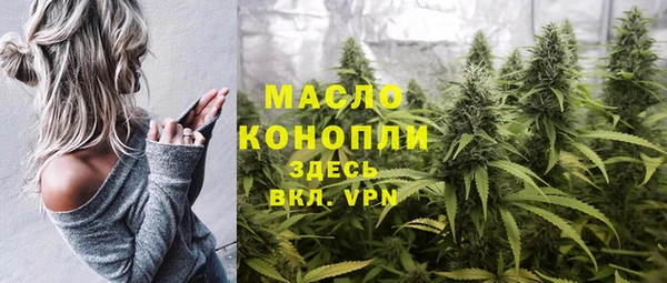 индика Пересвет