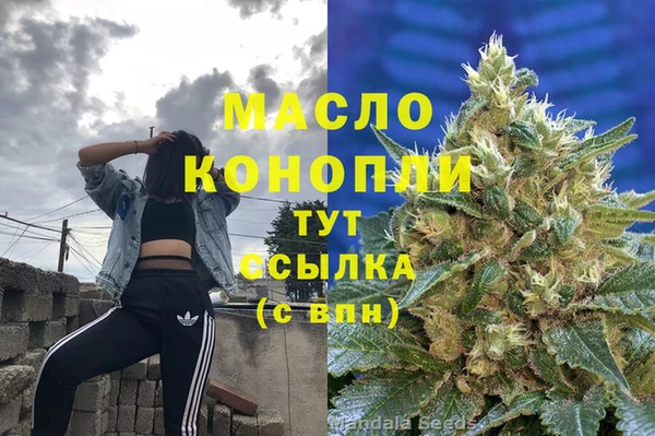 индика Пересвет